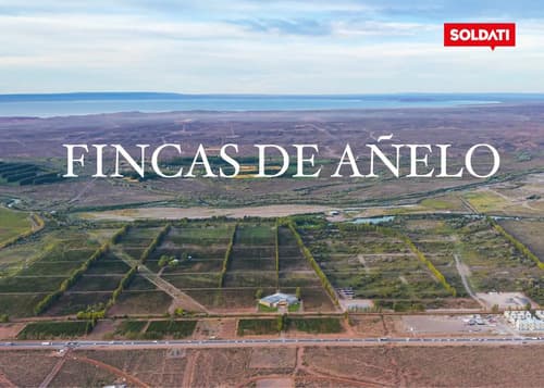 Urbanizacion unica en vaca muerta