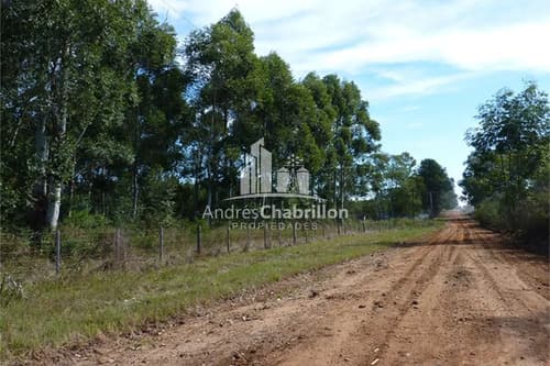 Venta campo la criolla en Concordia — foto 1